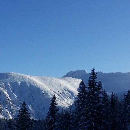 Iva Ubytovanie Liptovský Mikuláš Exteriör bild