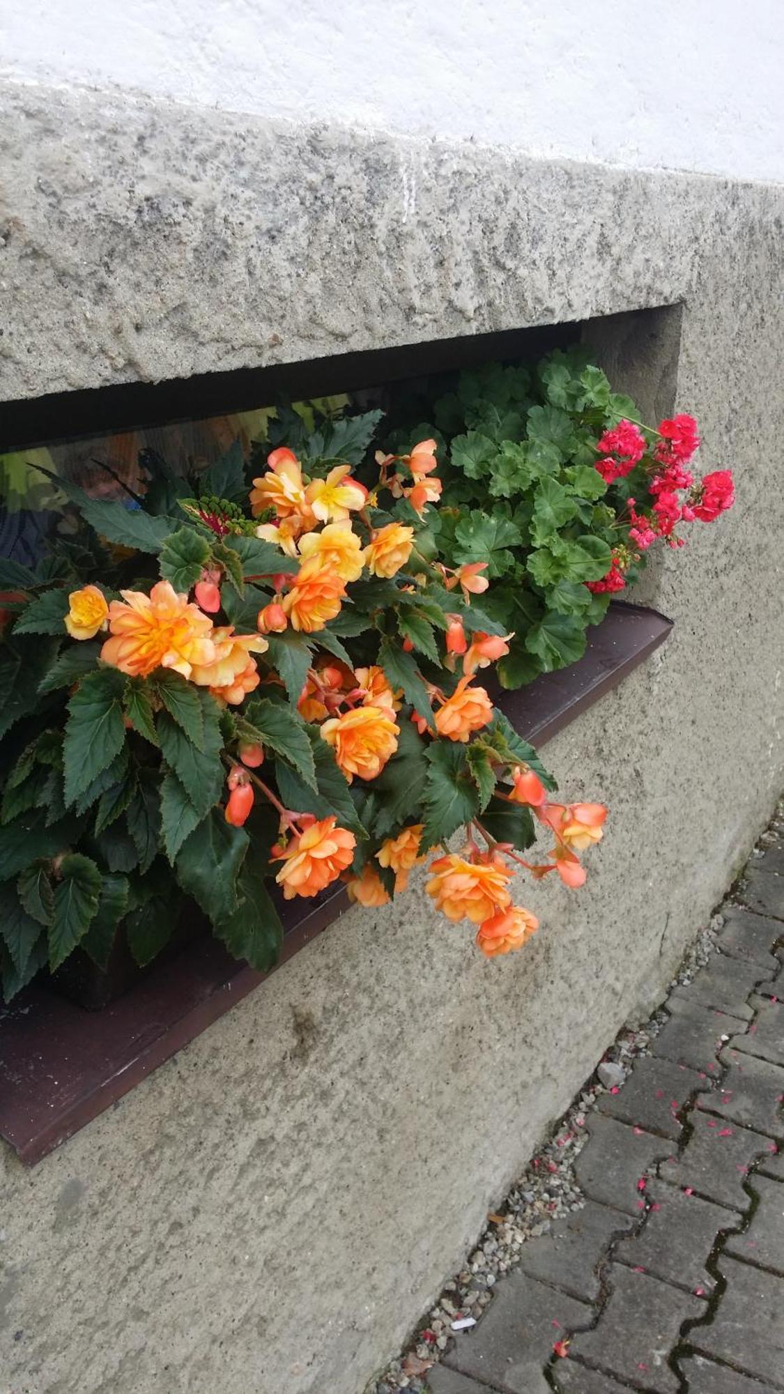 Iva Ubytovanie Liptovský Mikuláš Exteriör bild